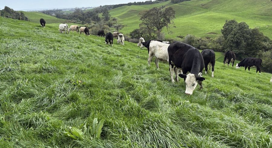  at 971 Richmond Road, Lepperton, New Plymouth, Taranaki