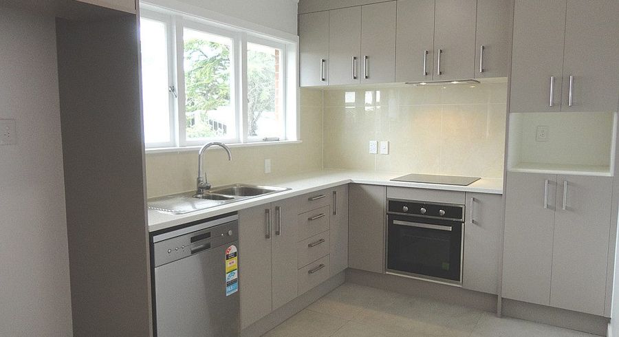  at 13A Fowlds Ave, Sandringham, Auckland City, Auckland