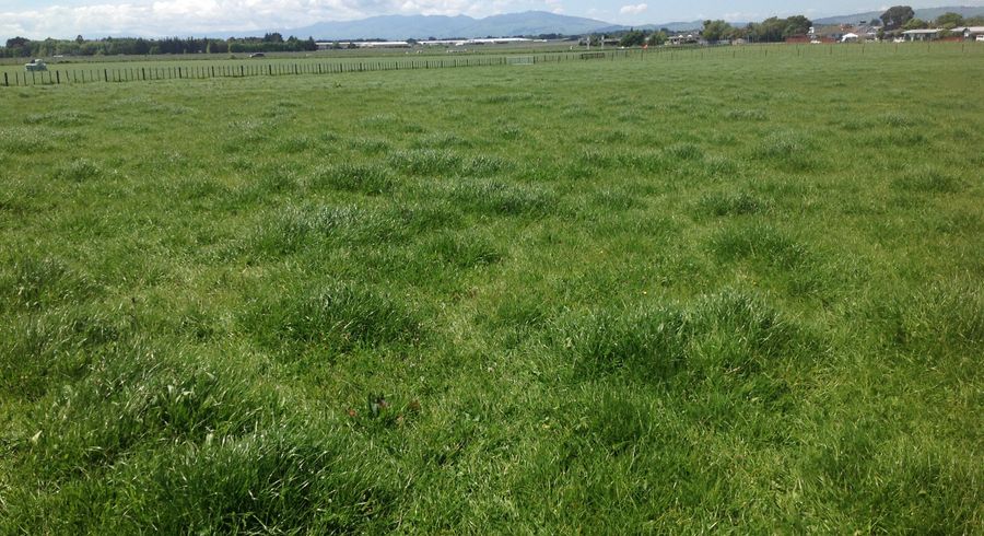  at 14 Flygers Line, Milson, Palmerston North