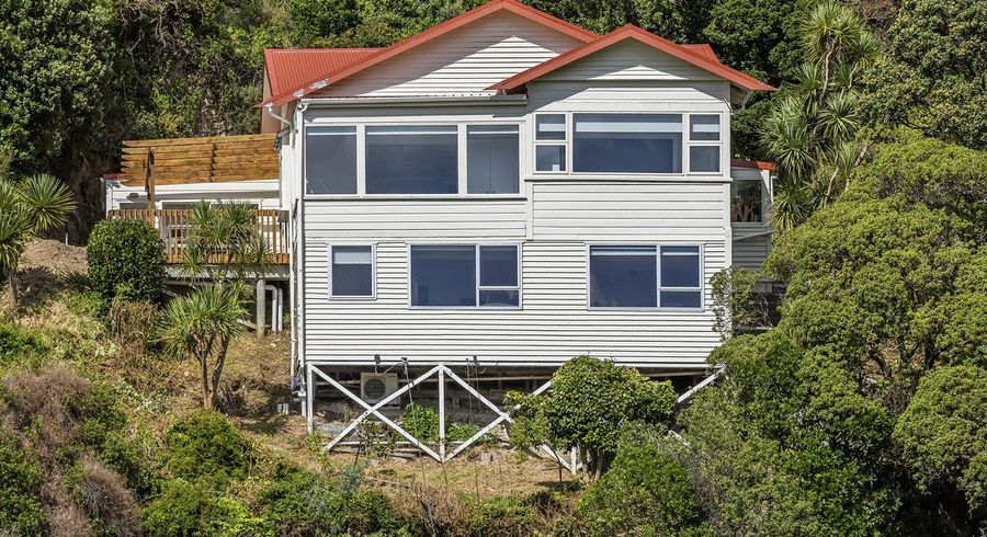  at 43 Farnham Street, Mornington, Wellington, Wellington