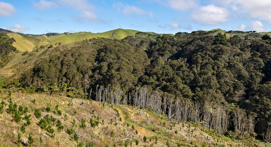  at 0 Waikaretu Valley Road, Glen Murray, Onewhero