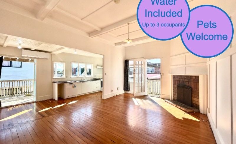  at 2/1103 New North Road, Mount Albert, Auckland City, Auckland