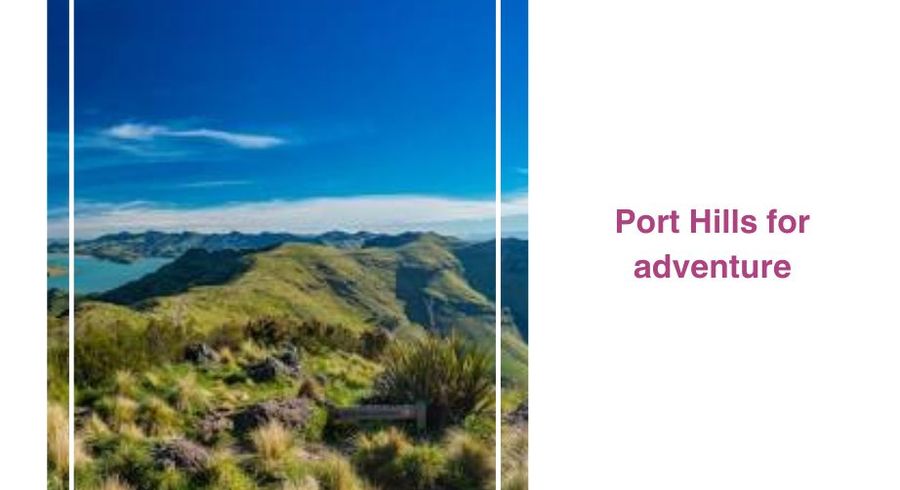  at 6 Tussock Lane, Ferrymead, Christchurch City, Canterbury