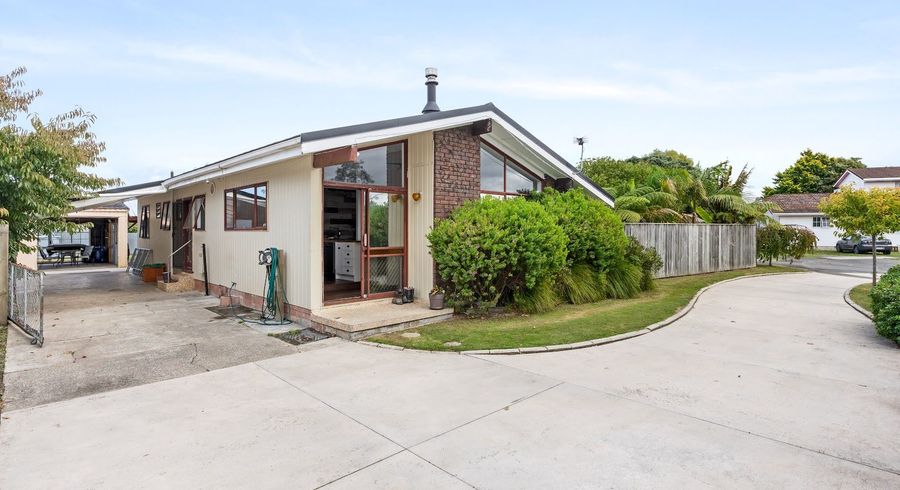  at 19 Bryce Street, Mangapapa, Gisborne, Gisborne