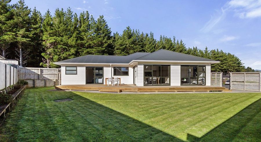  at 17 Jack Vaughan Grove, Wainuiomata, Lower Hutt, Wellington