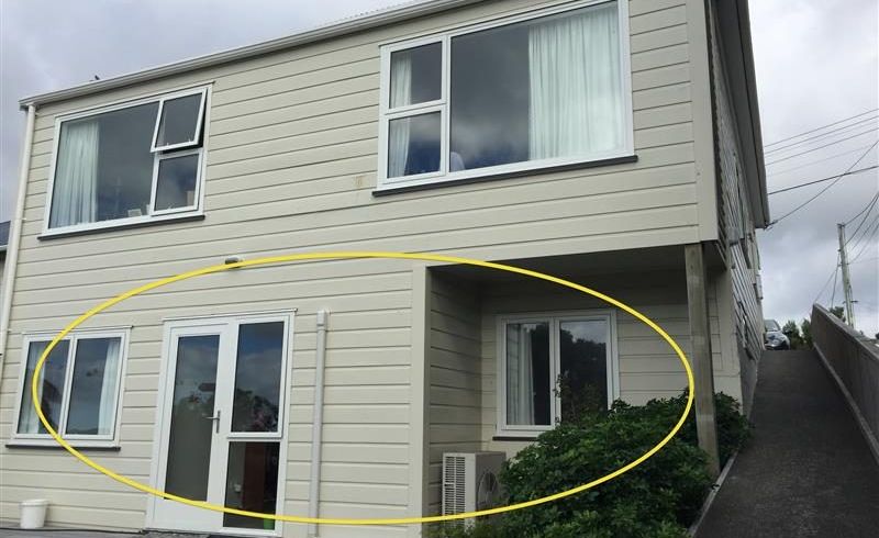  at 99b Overtoun Terrace, Hataitai, Wellington, Wellington