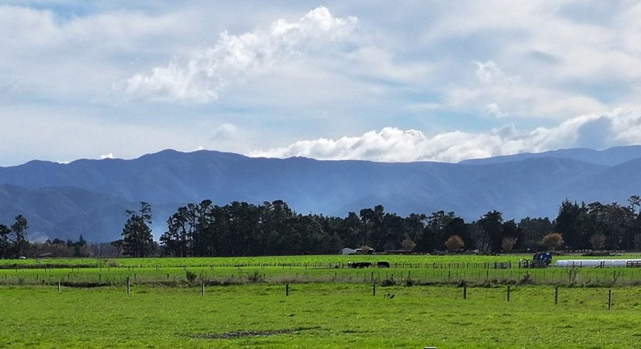  at 155 and 157 Te Maire Road, Martinborough, South Wairarapa, Wellington
