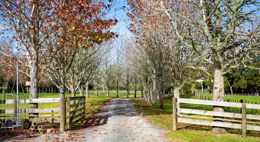  at 31 Ward Road, Matakana