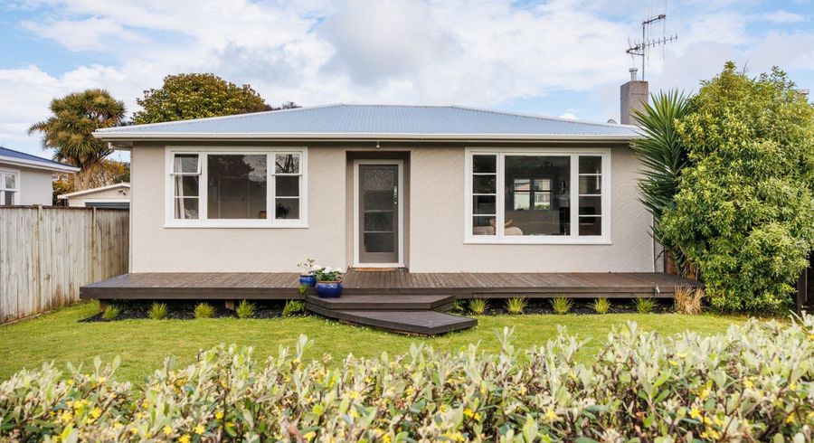  at 19 Salisbury Avenue, Terrace End, Palmerston North