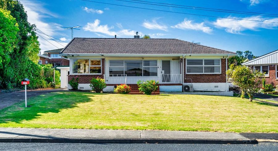  at 24 Collie Street, Hill Park, Manukau City, Auckland