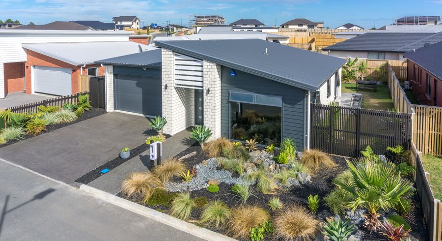  at 19 Hapori Avenue, Baverstock, Hamilton