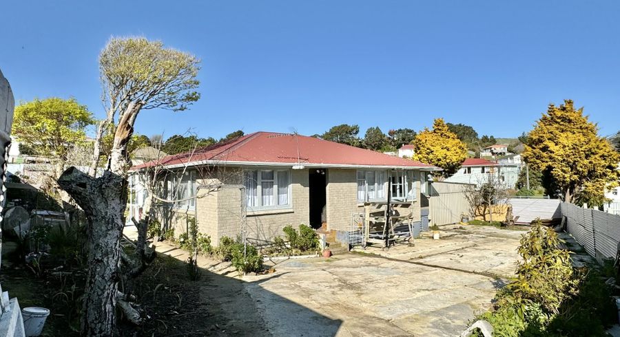  at 102 Champion Street, Cannons Creek, Porirua
