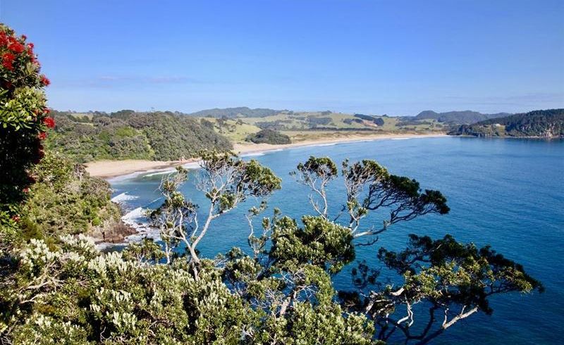  at 77 Radar Road, Hot Water Beach, Whitianga