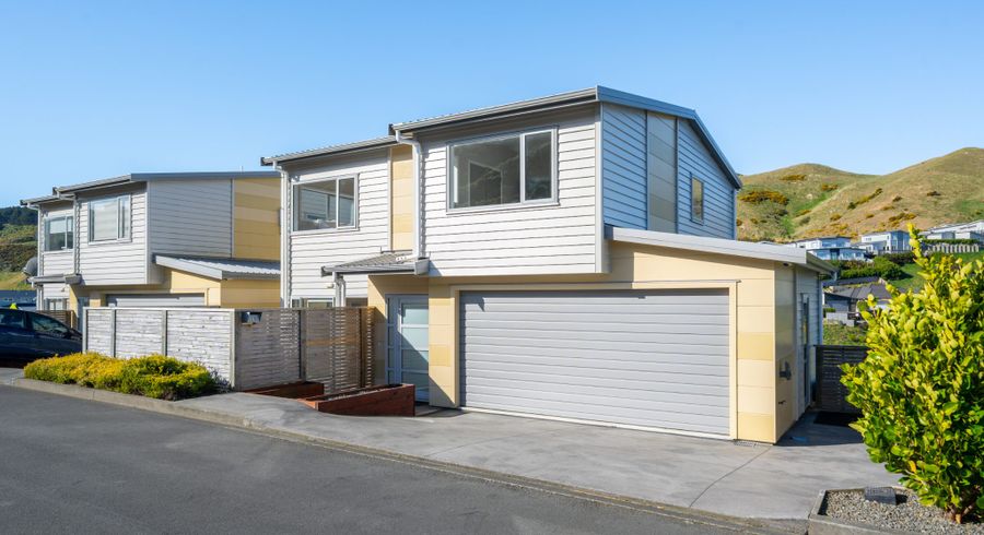  at 20 Rochdale Drive, Churton Park, Wellington, Wellington