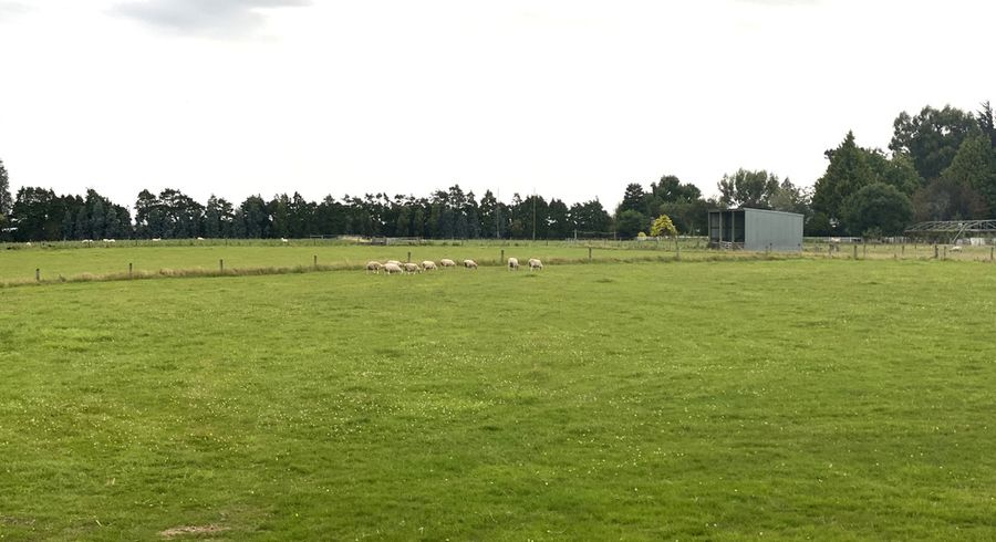  at 41 Drysdale Road, Myross Bush