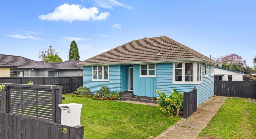  at 125 Holland Road, Fairfield, Hamilton, Waikato