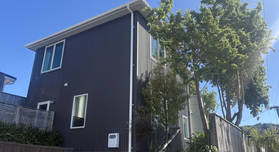  at 224 Rintoul Street, Berhampore, Wellington, Wellington