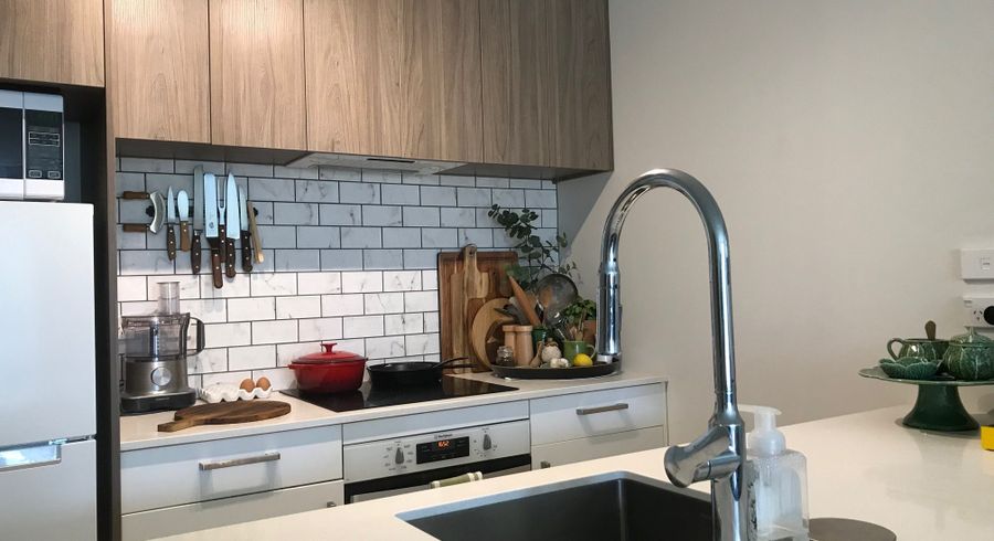  at 11/3 Birdwood Cres, Parnell, Auckland City, Auckland