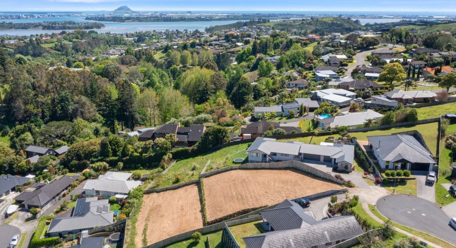  at 41 Moira Close, Welcome Bay, Tauranga, Bay Of Plenty