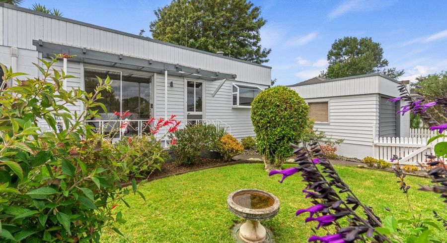  at 17 Newcastle Terrace, Mount Albert, Auckland City, Auckland