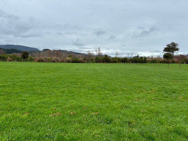 at 17 Riverside Drive, Ohau, Horowhenua, Manawatu / Whanganui