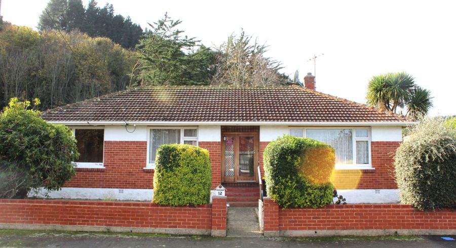  at 12 Tannadice Street, North East Valley, Dunedin, Otago