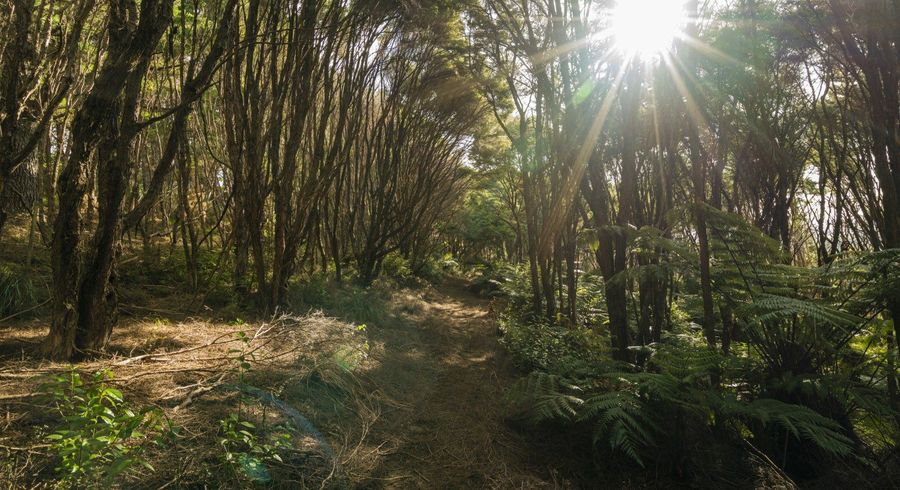  at 1/20 Taiwawe Lane, Hot Water Beach, Thames-Coromandel, Waikato