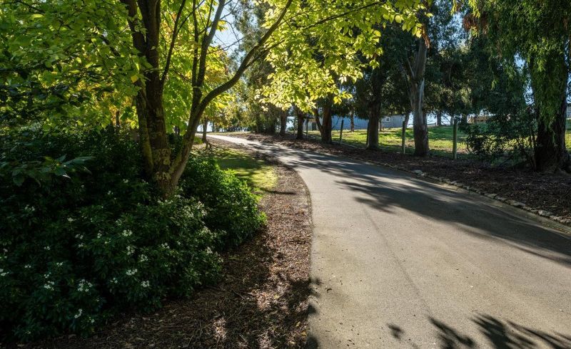  at 196 Chapman Road, Earnscleugh, Alexandra