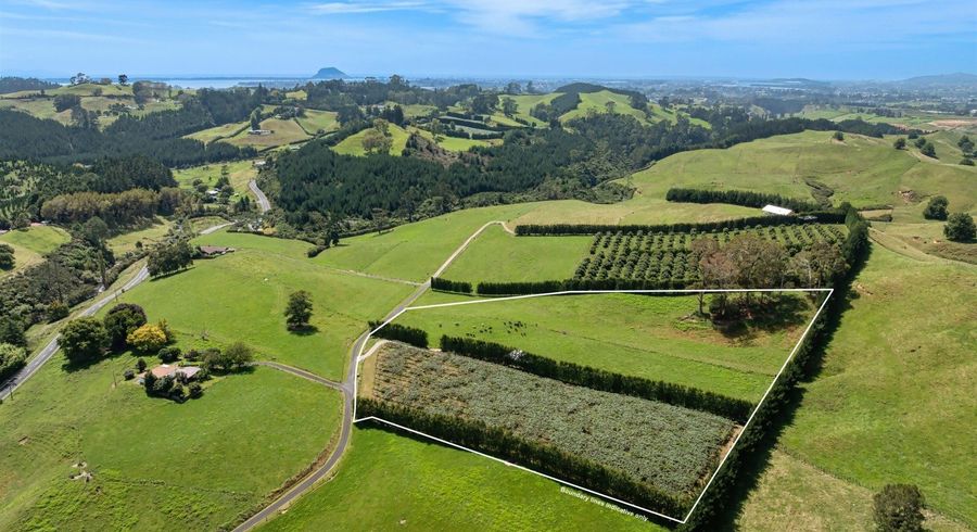  at 449 Crawford Road, Te Puna, Western Bay Of Plenty, Bay Of Plenty