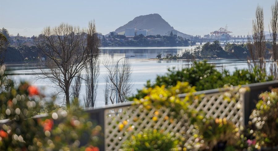  at 9B Hairini Street, Hairini, Tauranga
