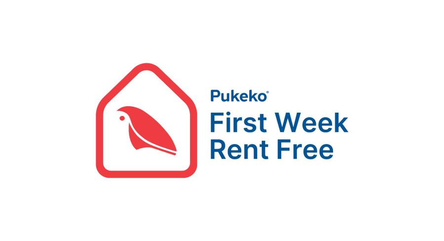  at 19 Arbuckle Road, Frimley, Hastings, Hawke's Bay