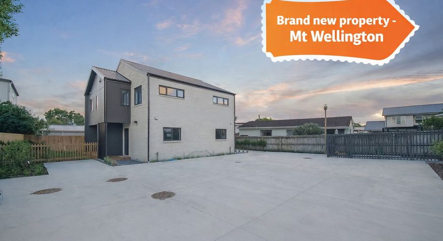  at 1/66 Walters Road, Mount Wellington, Auckland City, Auckland