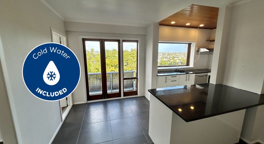  at 2/524 New North Road, Kingsland, Auckland City, Auckland