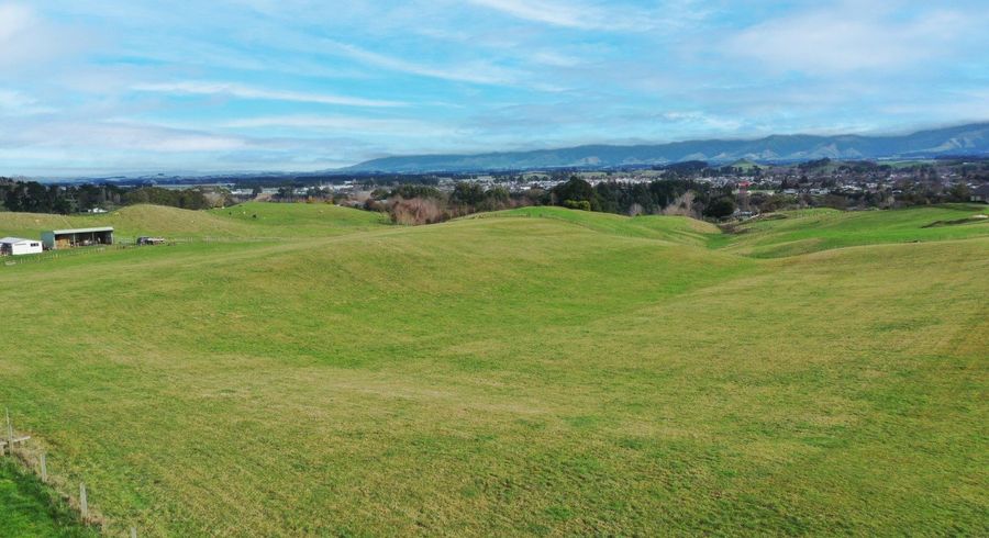  at 262 Tipapakuku Road, Dannevirke, Tararua, Manawatu / Whanganui