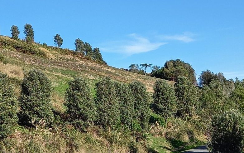  at 2 Middle Paddock, BLUE SPUR, HOKITIKA