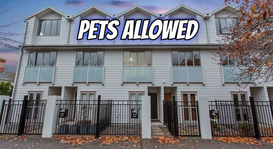  at 4/1A Haverstock Road, Sandringham, Auckland City, Auckland