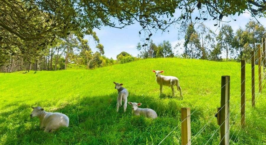  at 340D Ngarara Road, Waikanae, Kapiti Coast, Wellington