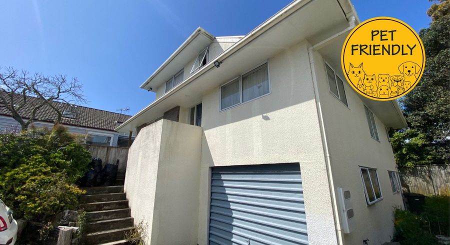  at 20B Garland Road, Greenlane, Auckland