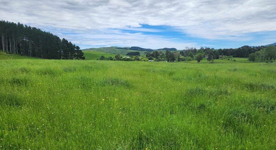  at 201 Pond Road, Raglan, Waikato, Waikato