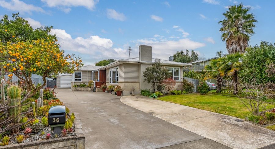  at 36 Southwark Avenue, Tamatea, Napier, Hawke's Bay