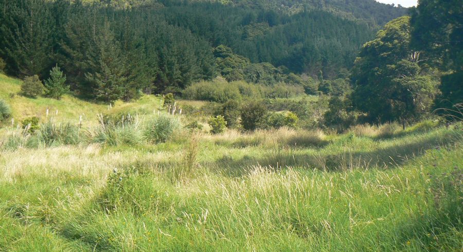  at 0 Takahue Saddle Rd, Broadwood, Far North, Northland