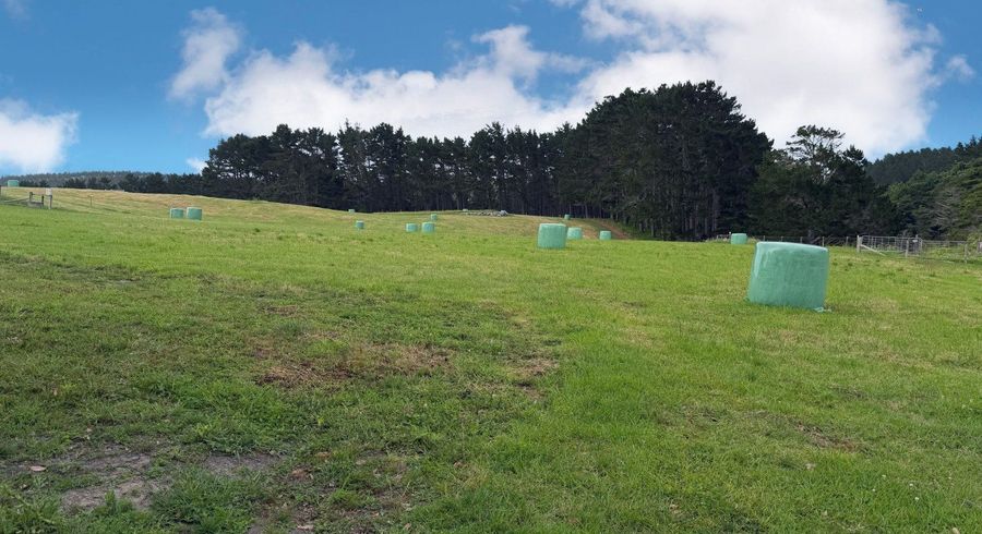  at 75 Kai Iwi Lakes Road, Dargaville, Kaipara, Northland