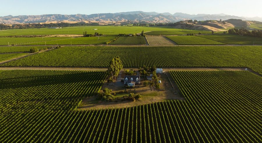  at 442 State Highway 63, Renwick, Marlborough, Marlborough