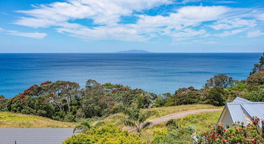  at 407 Onemana Drive, ONEMANA, WHANGAMATA