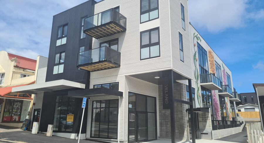  at 1/33 Cleveland Street, Brooklyn, Wellington, Wellington