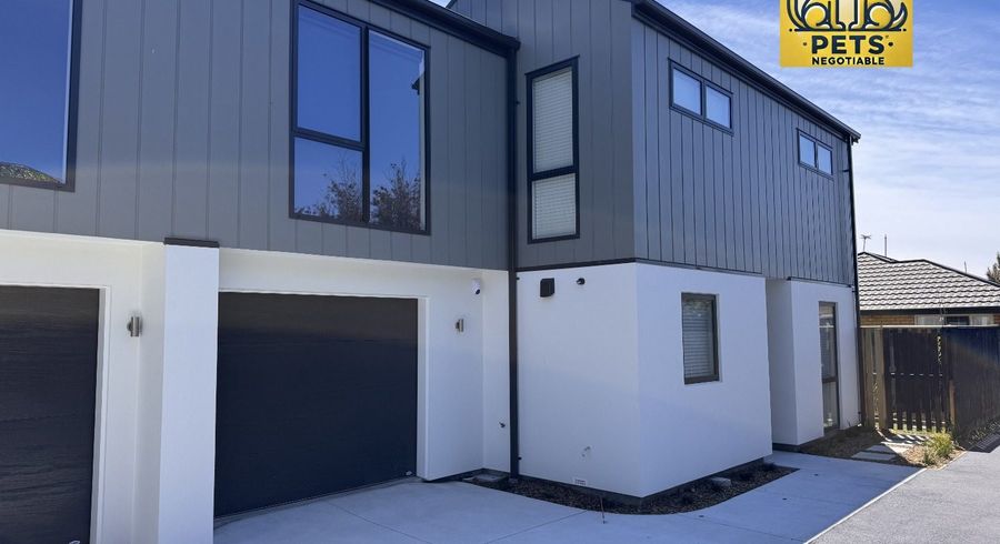  at 17C Harrow Street, Phillipstown, Christchurch City, Canterbury