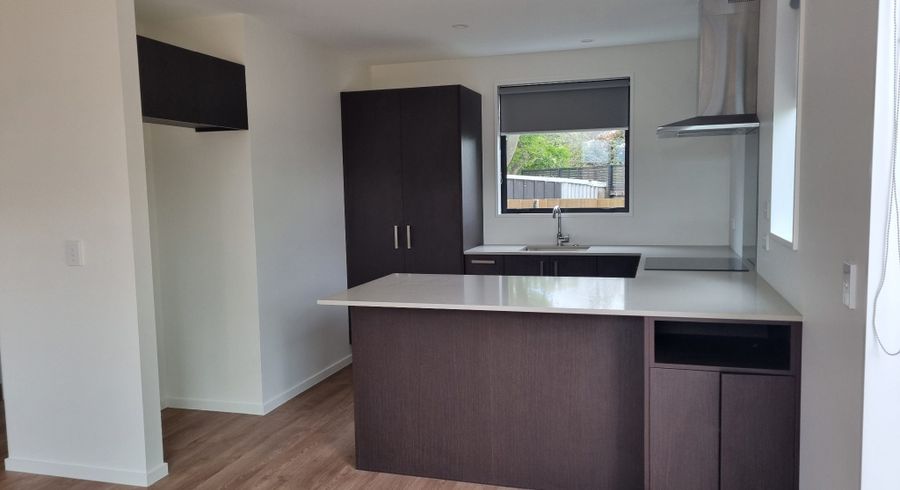  at 4/163 Bordesley Street, Phillipstown, Christchurch City, Canterbury