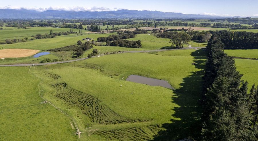  at Lot 4 and 5 1502 Ponatahi Road, Carterton, Carterton, Wellington