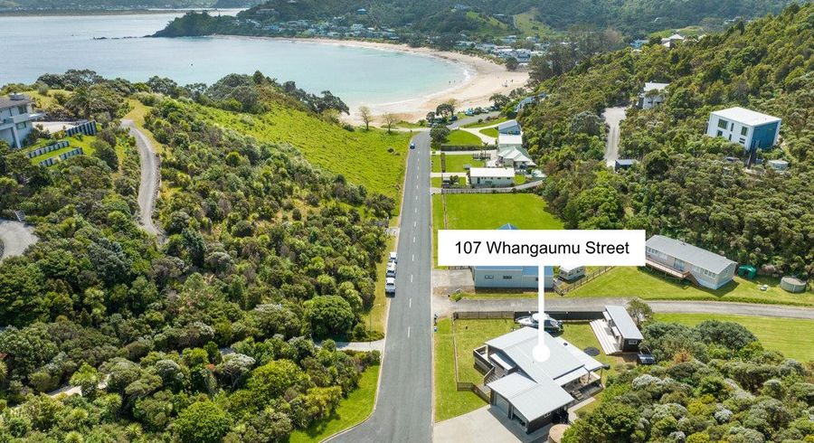  at 107 Whangaumu Street, Tutukaka, Whangārei