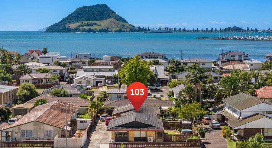  at 103 Chapel Street, Otumoetai, Tauranga